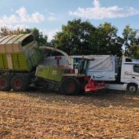 LP TRANS - Transports de bois, copeaux, sciure, plaquettes en Savoie 73